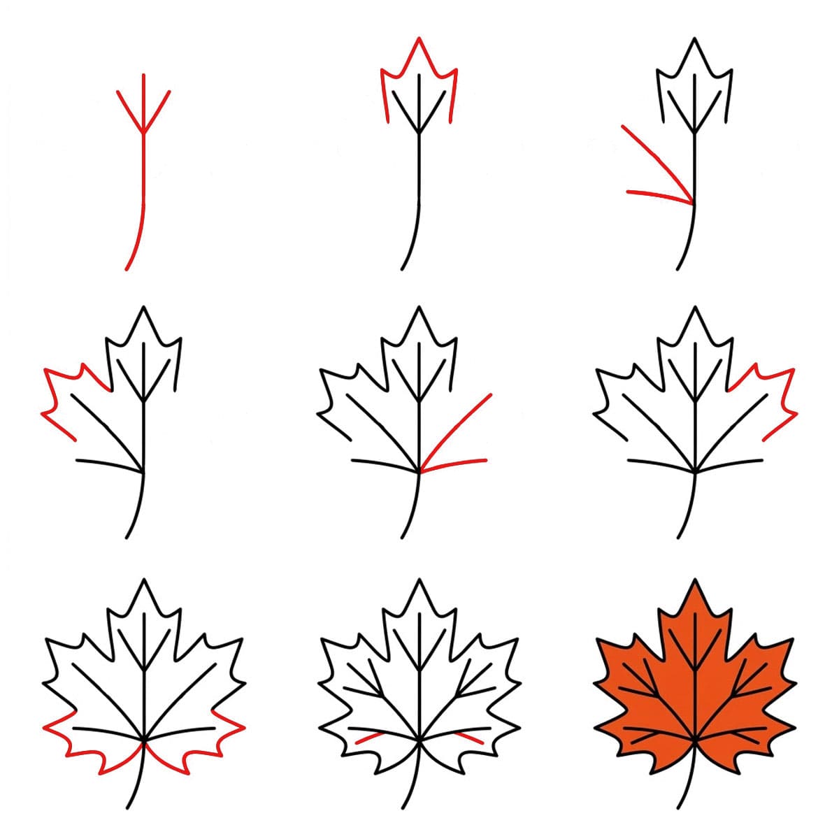 Detailed Maple Leaf Drawing Ideas