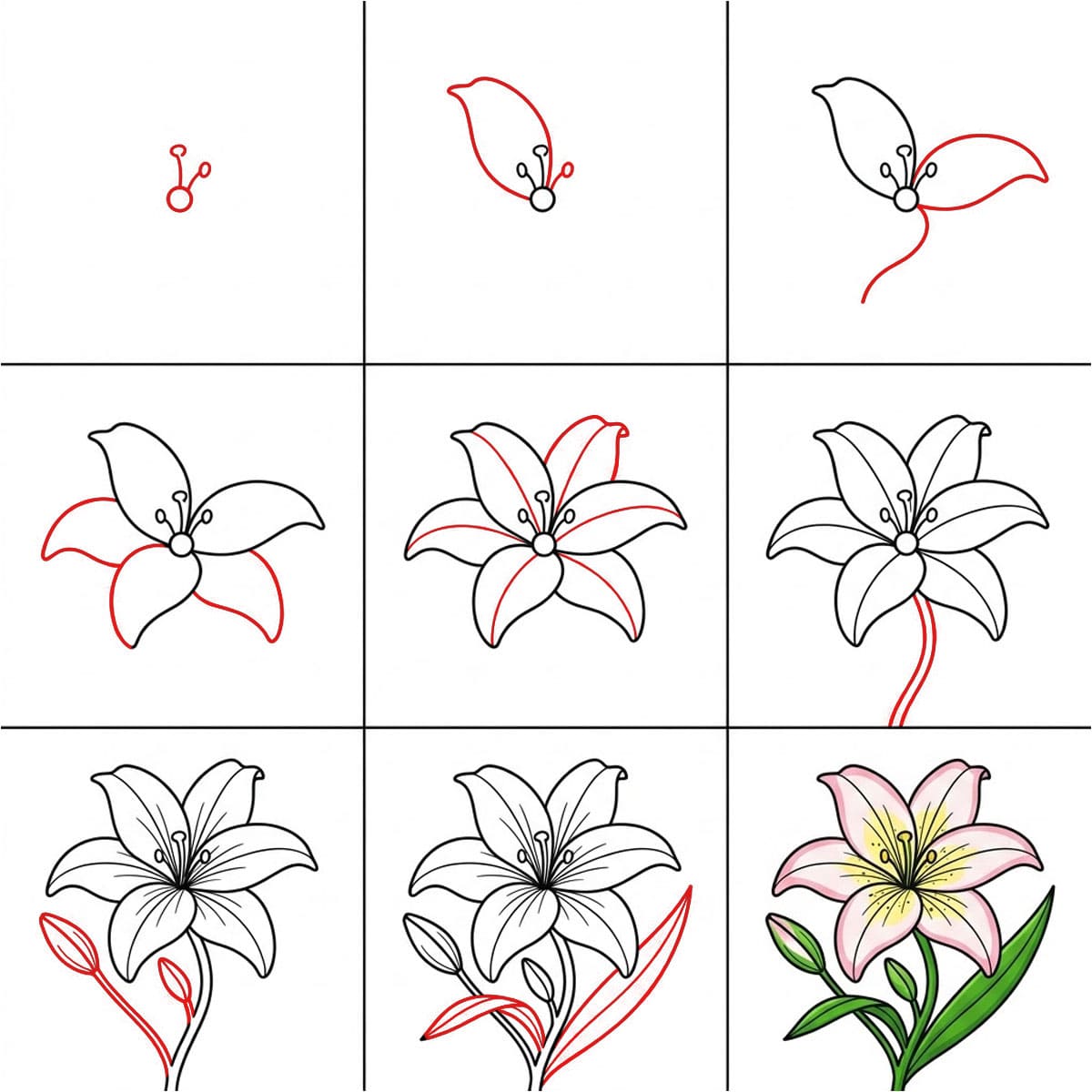 Elegant Lily Drawing Ideas