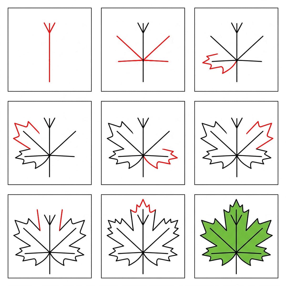 Green Maple Leaf Drawing Ideas