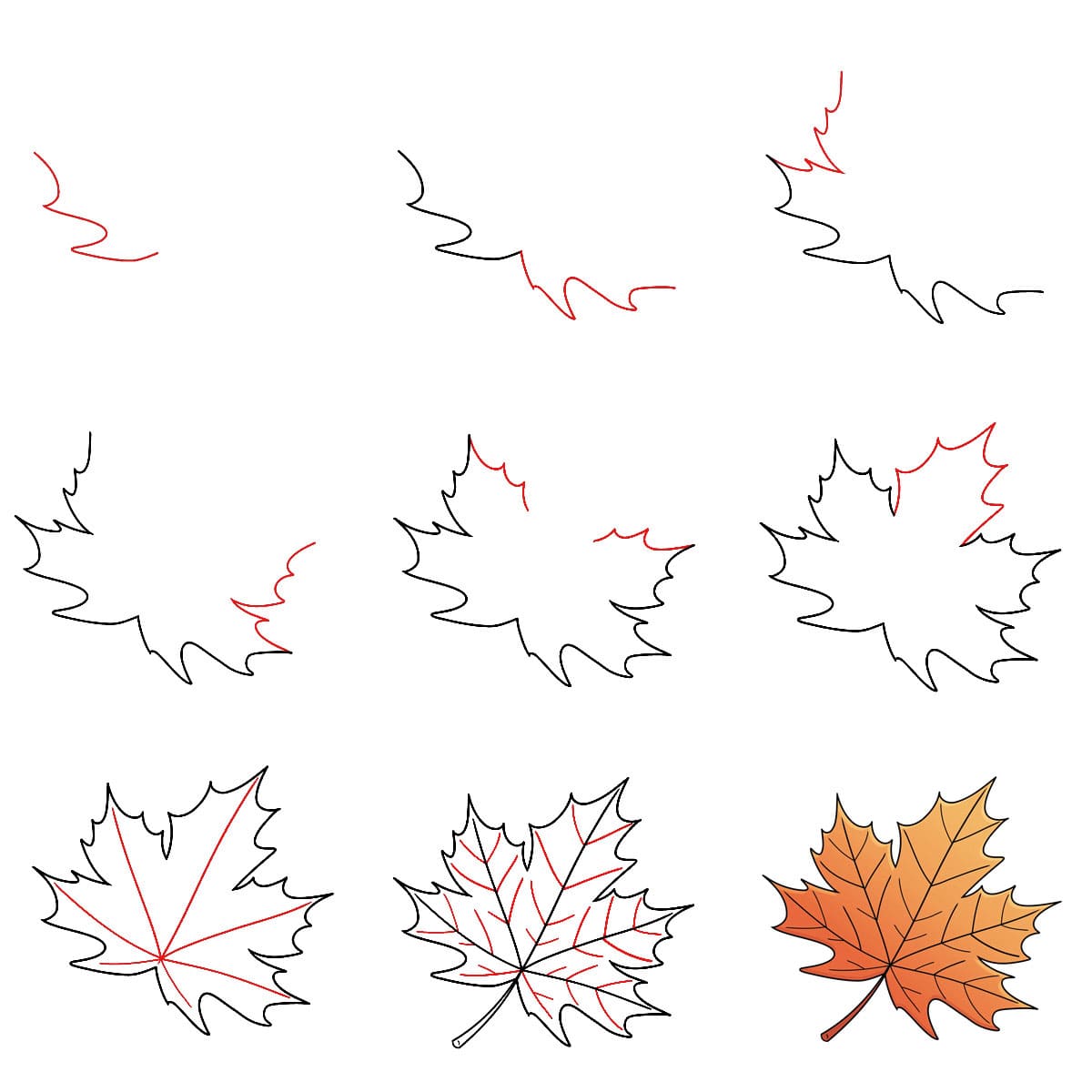 Maple Leaf Angles Drawing Ideas