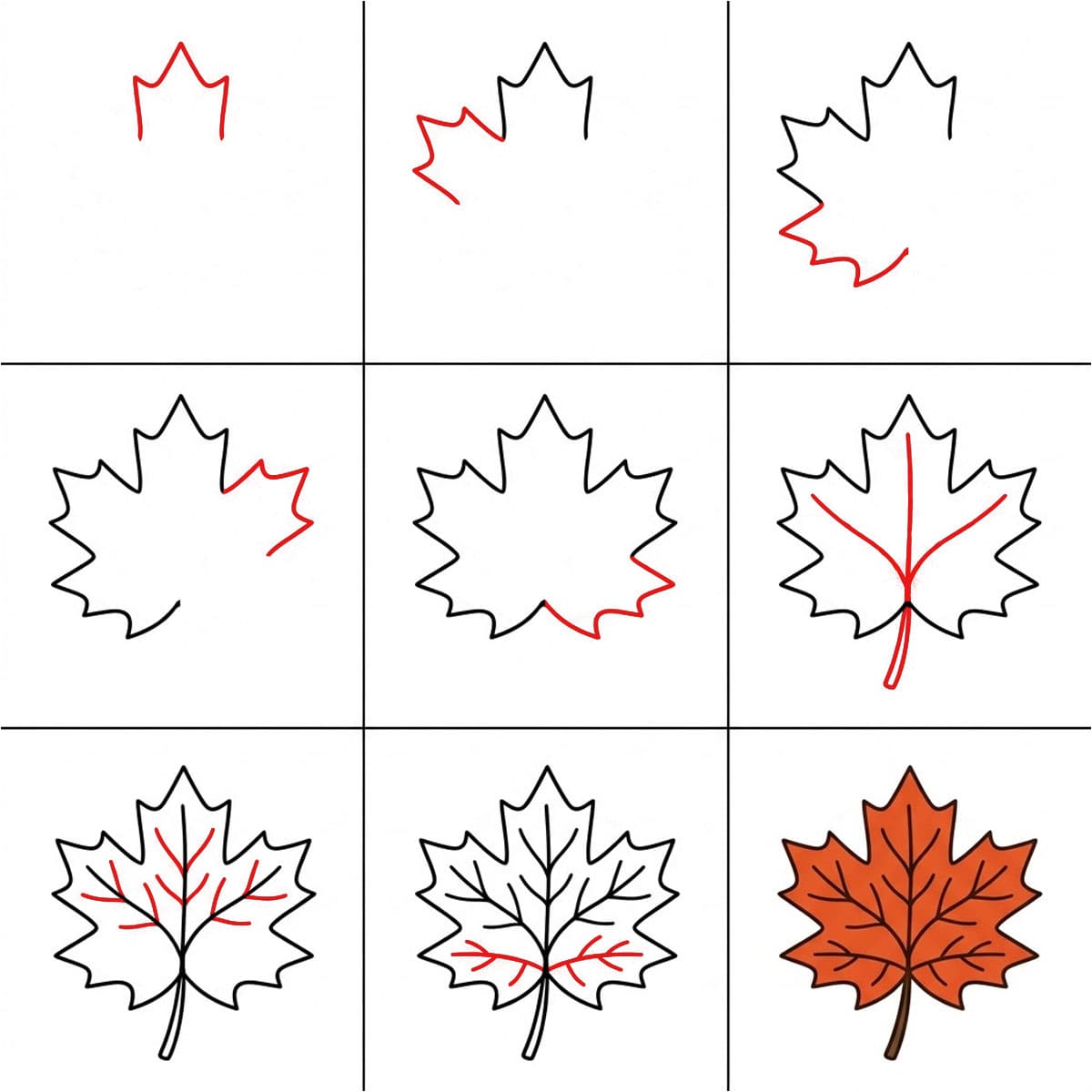 Maple Leaf Printable Drawing Ideas