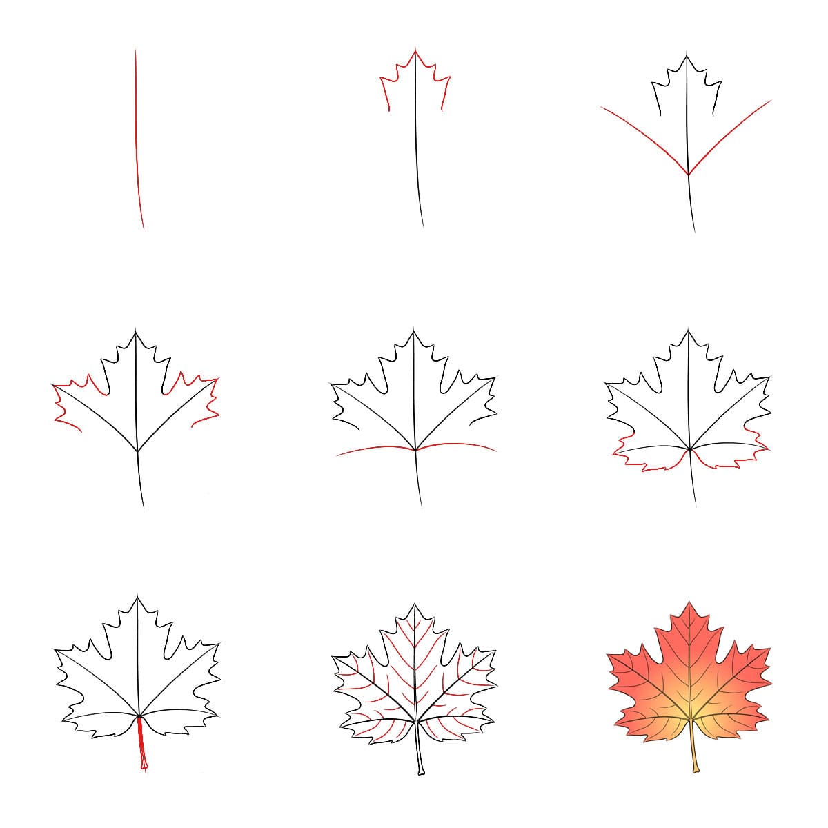 Maple Leaf free Drawing Ideas