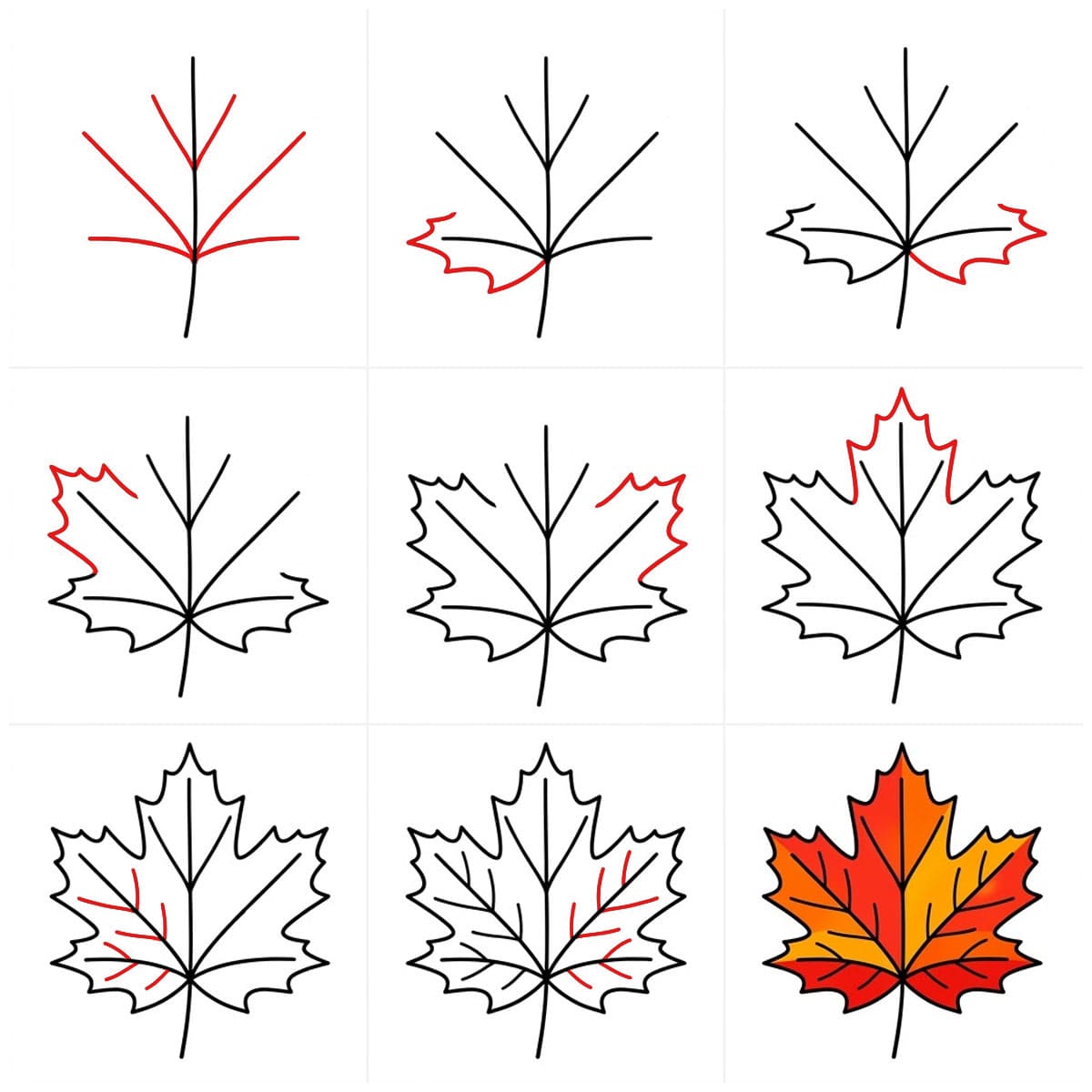 Maple Leaf image Drawing Ideas