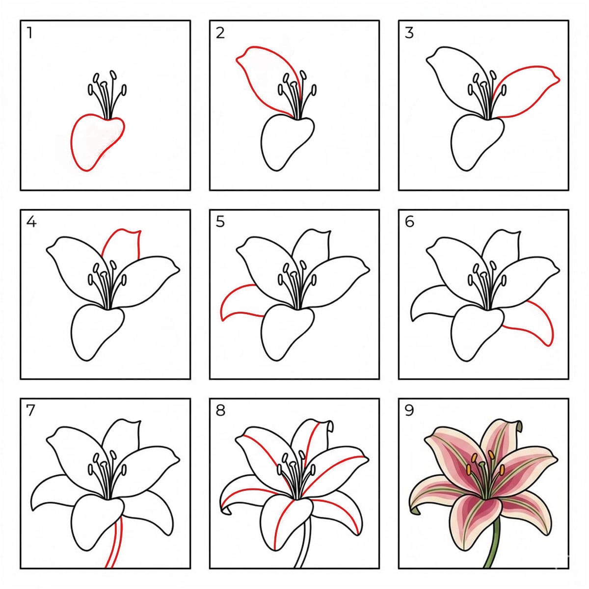 Mysterious Lily Drawing Ideas