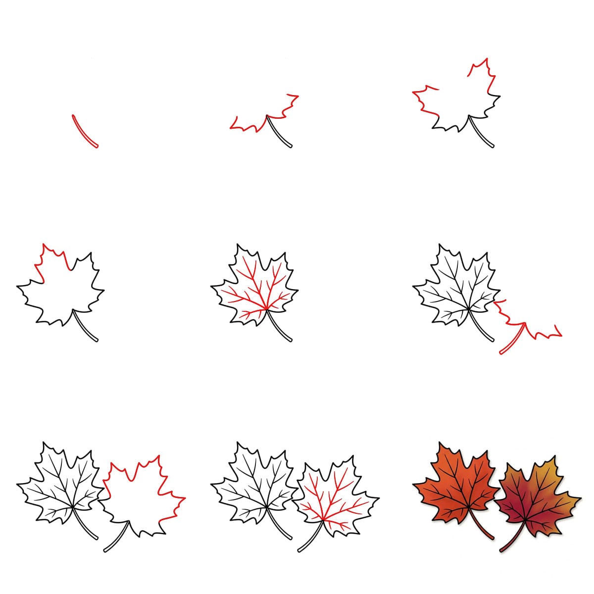 Pair of Maple Leaves Drawing Ideas