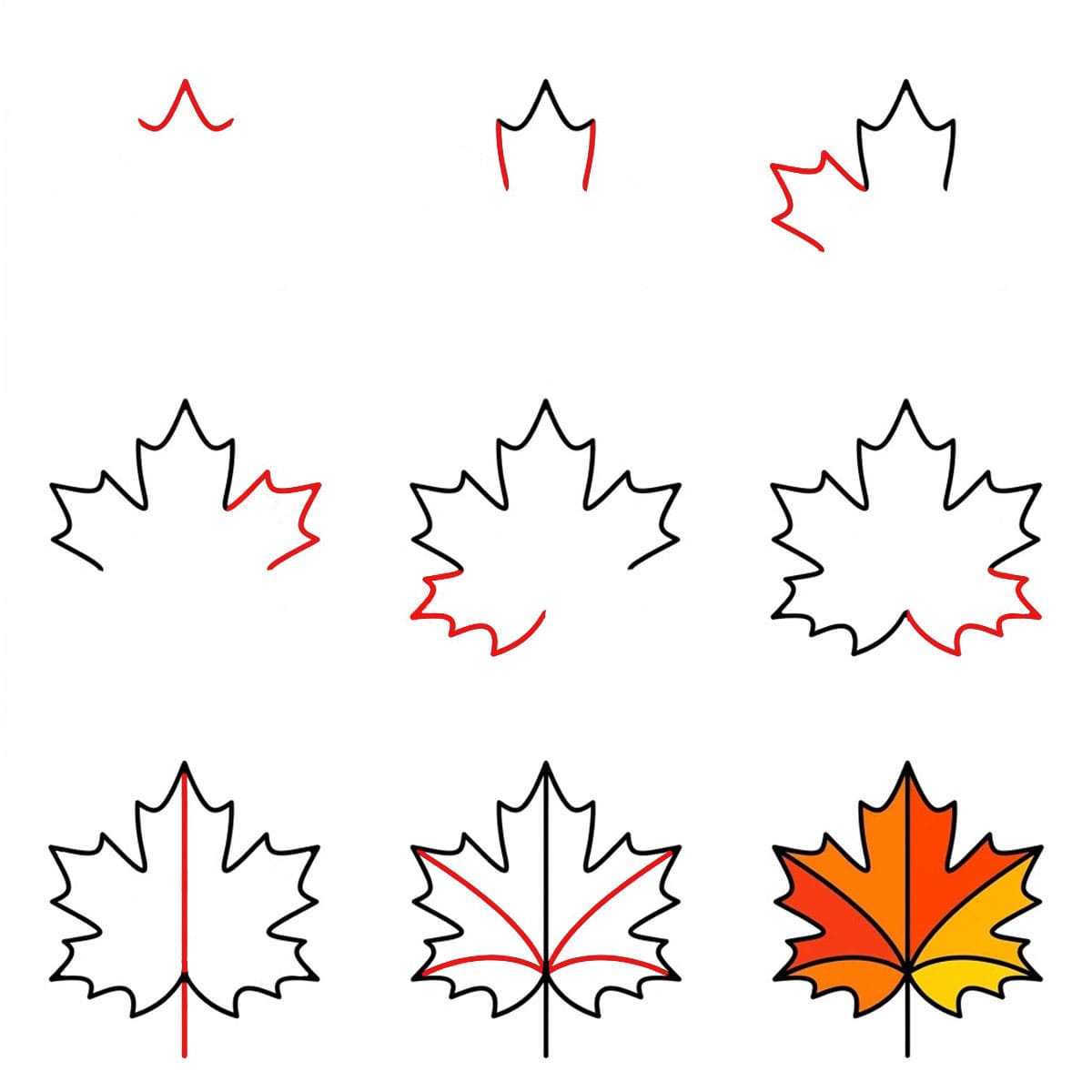 Pointed Maple Leaf Drawing Ideas