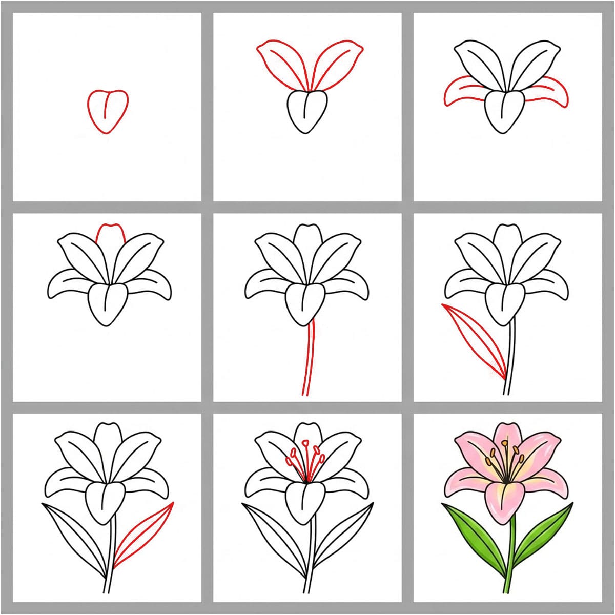 Pure Lily Drawing Ideas