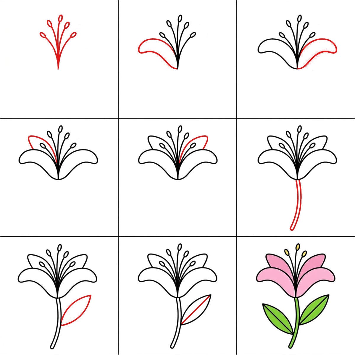 Radiant Lily Drawing Ideas