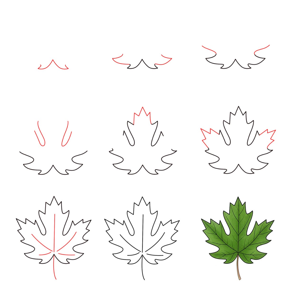 Simple Maple Leaf Drawing Ideas