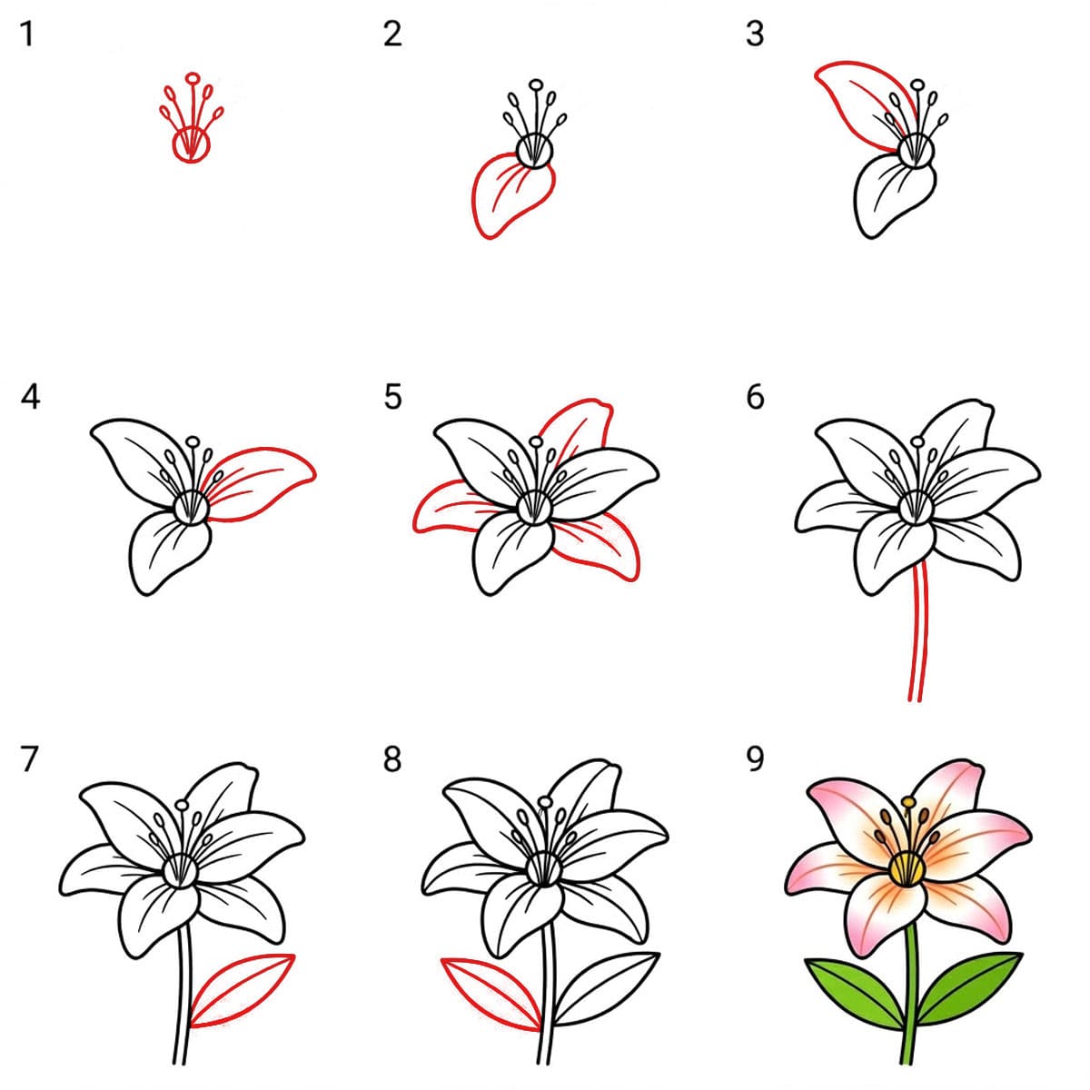 Slender Lily Drawing Ideas