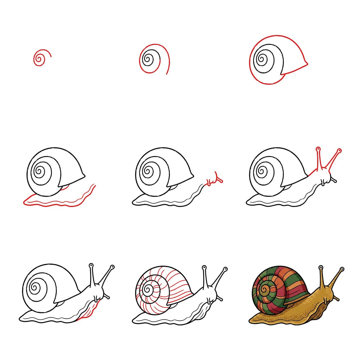 Small Snail Drawing Ideas
