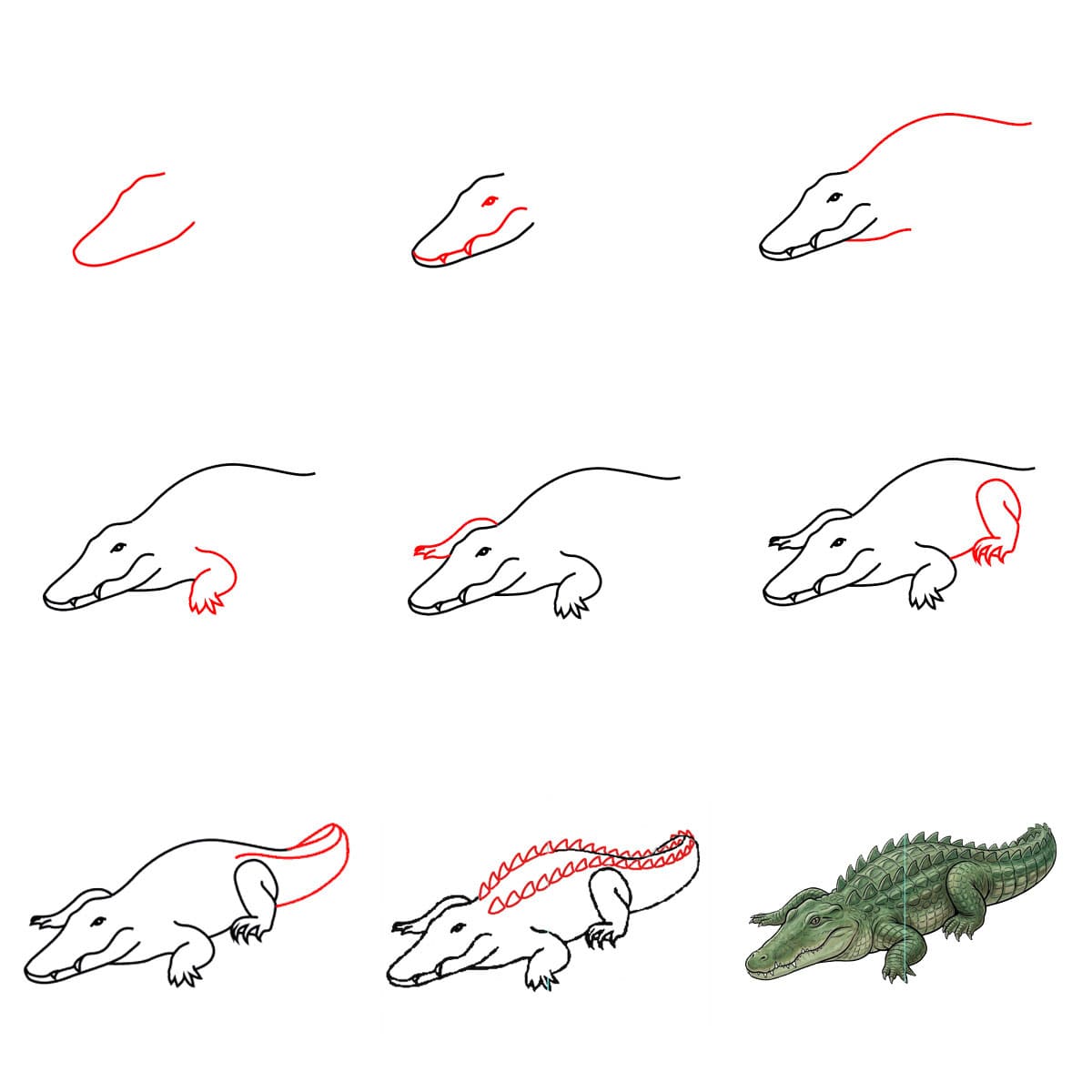 Spiky Crocodile Drawing Ideas