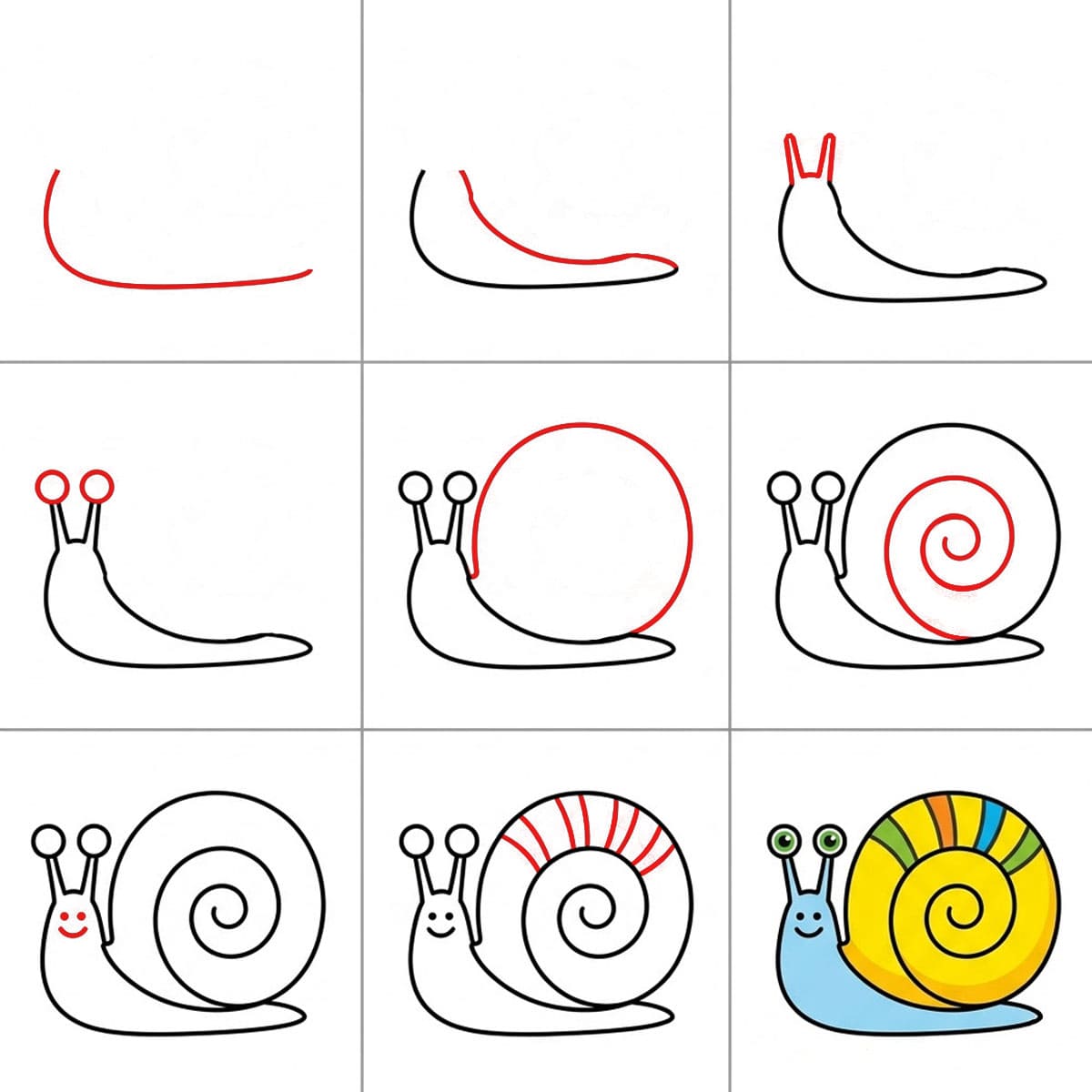Striped Shell Snail Drawing Ideas