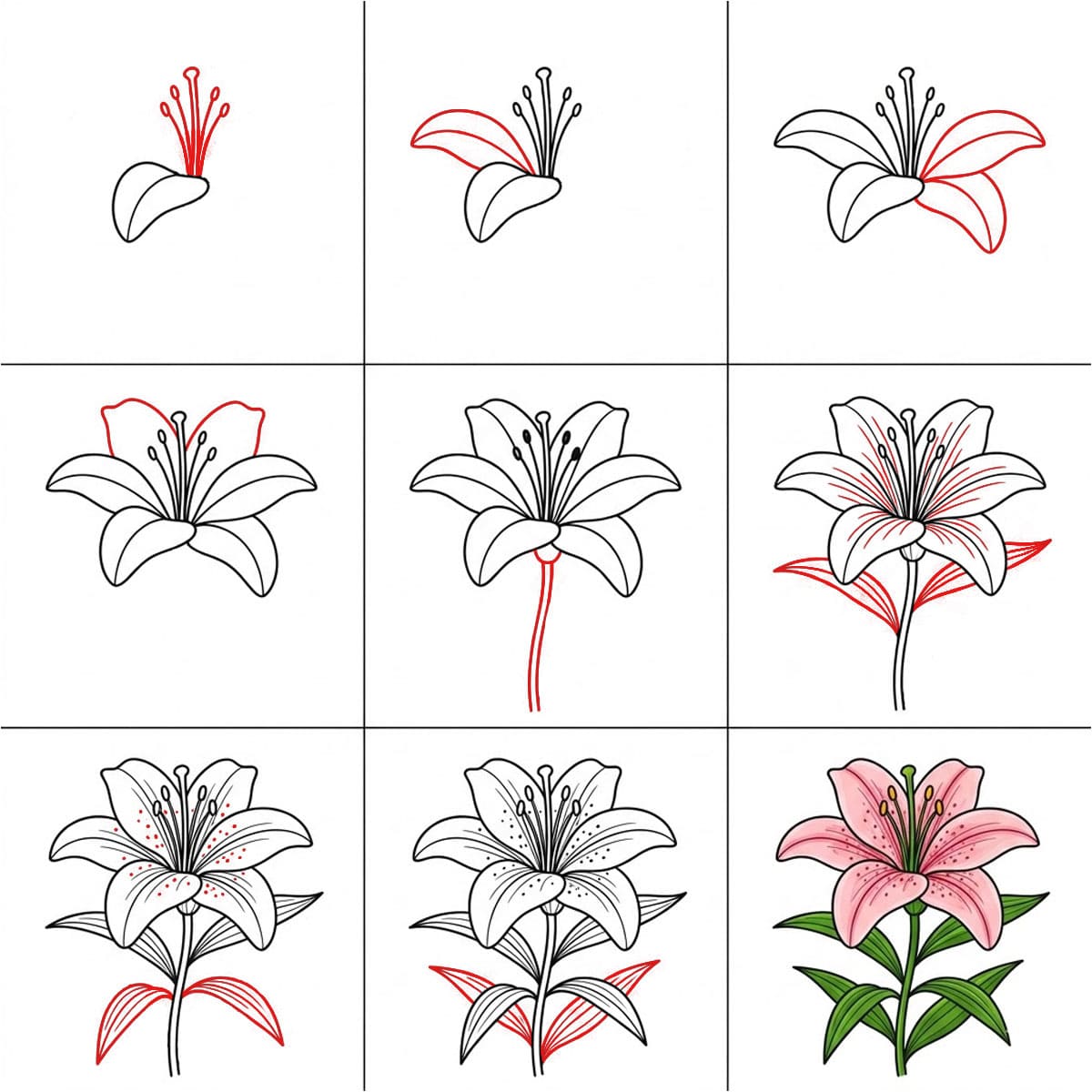 Sweet Lily Drawing Ideas