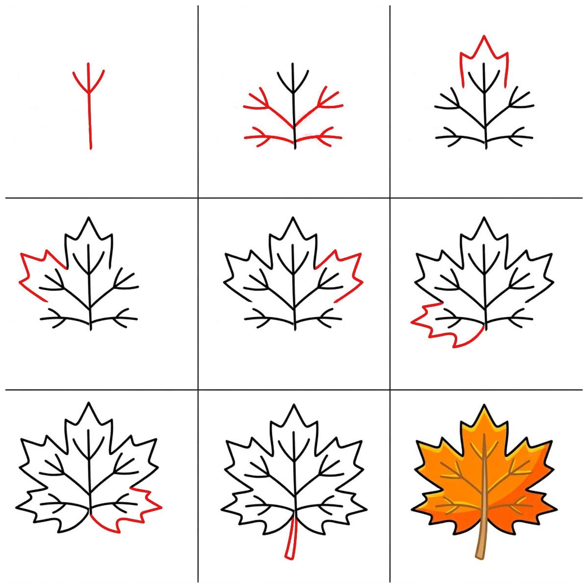 Symmetrical Maple Leaf Drawing Ideas