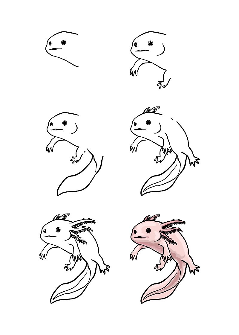 A cute Axolotl Drawing Ideas