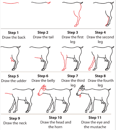 A detailed step-by-step goat Drawing Ideas