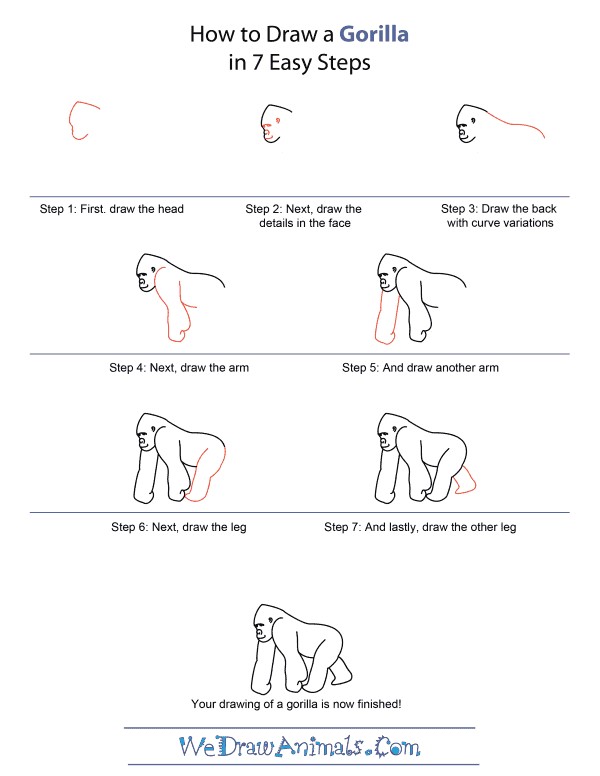 A detailed step-by-step Gorilla Drawing Ideas