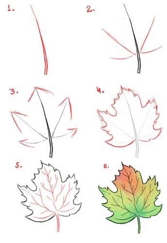 Maple Leaf Drawing Ideas