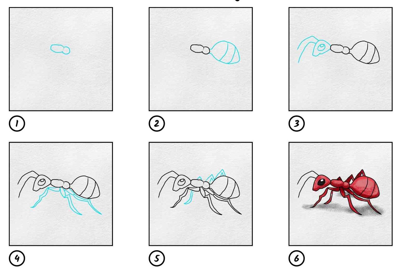 A field ant Drawing Ideas