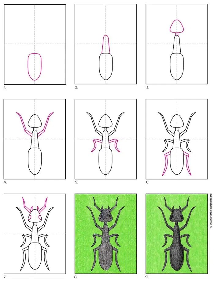 A foul ant Drawing Ideas