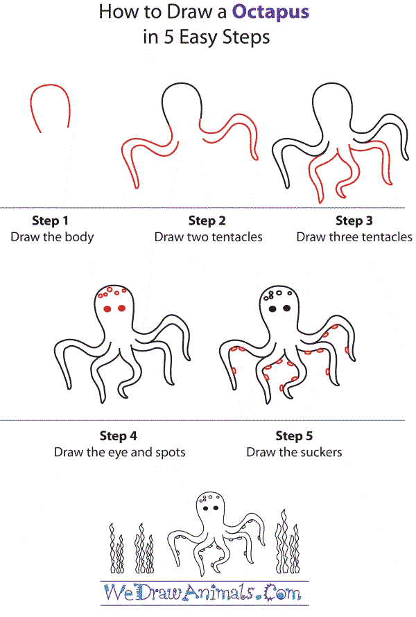 An octopus detailed step by step Drawing Ideas