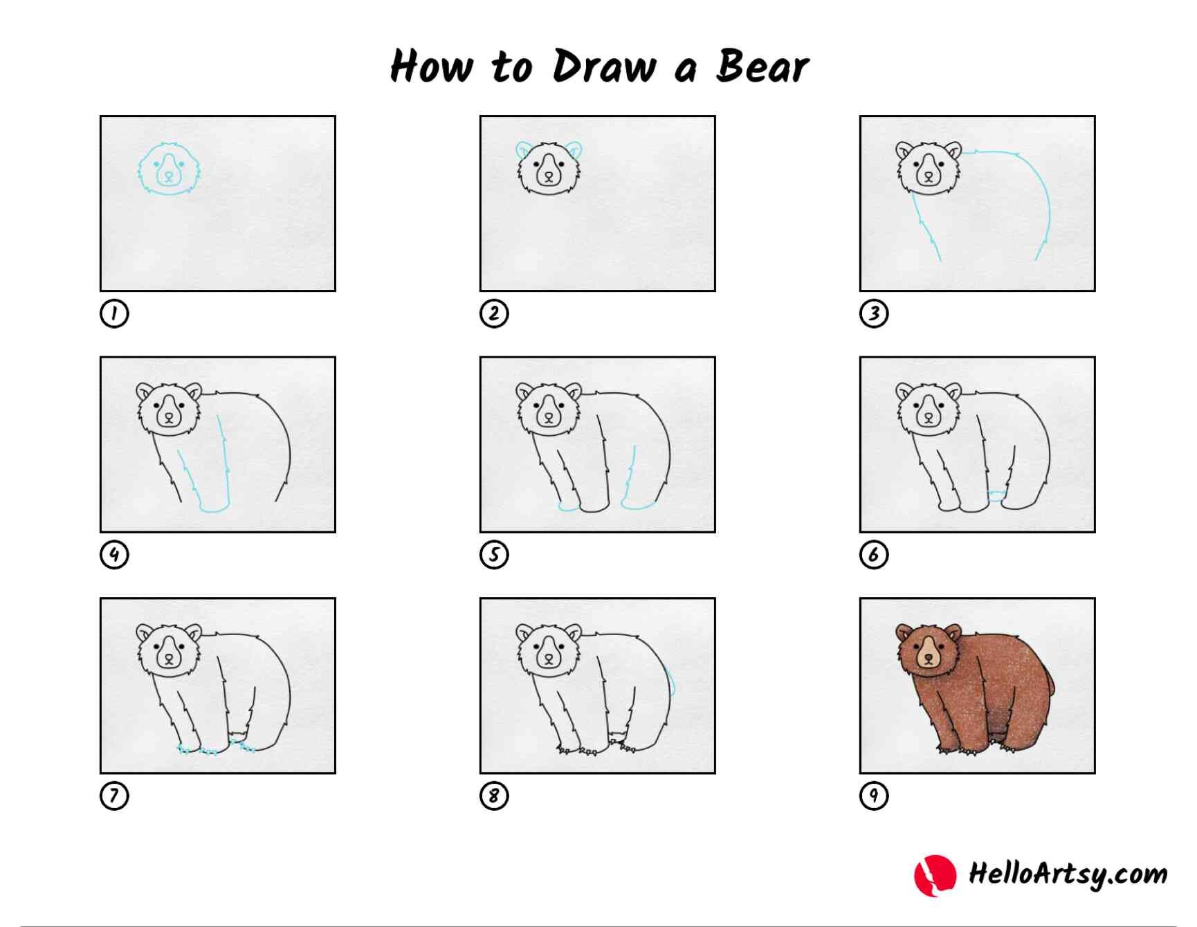 How to draw Bear idea 8