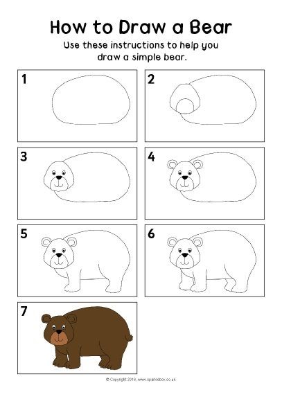 How to draw Bear idea 3