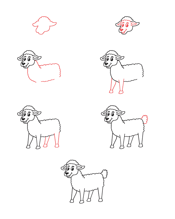 Cartoon sheep Drawing Ideas