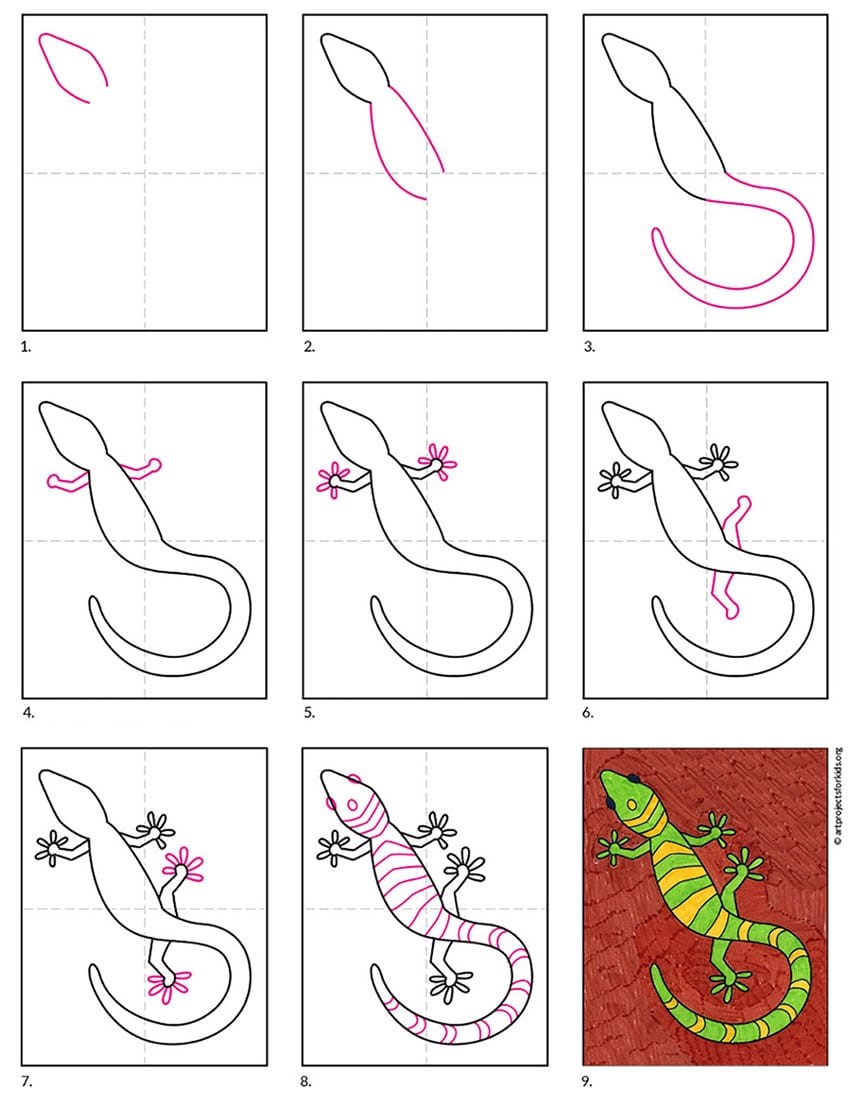 Gecko Idea 5 Drawing Ideas