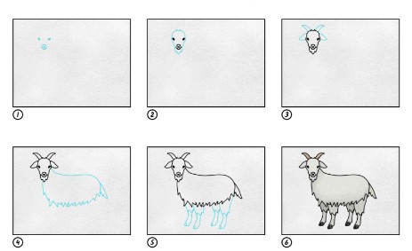 Goat idea 13 Drawing Ideas