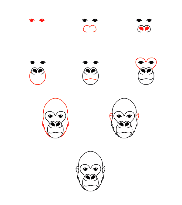 How to draw Gorilla face