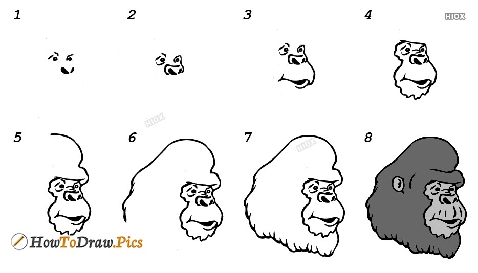 Gorilla Head Drawing Ideas