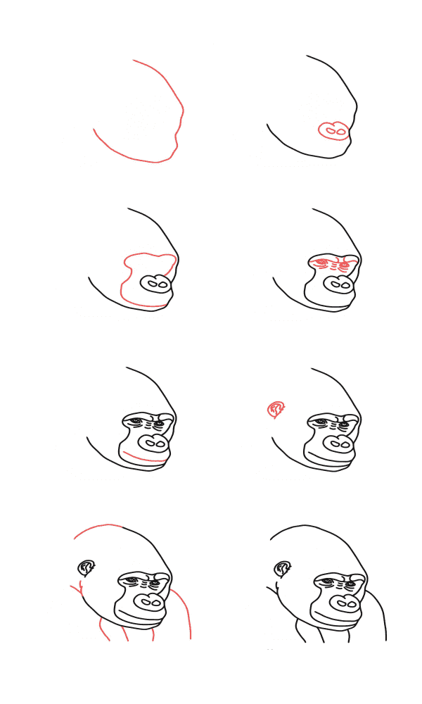 How to draw Gorilla head