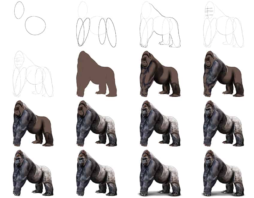 How to draw Gorilla idea (17)