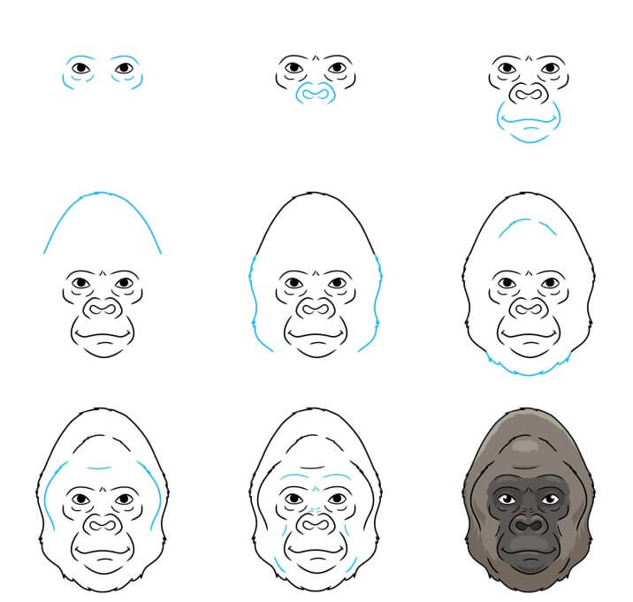 How to draw Gorilla idea (20)