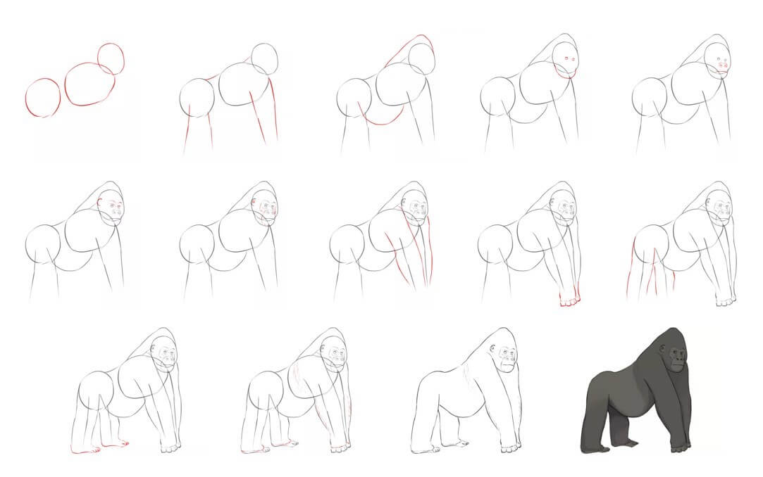 How to draw Gorilla idea (24)