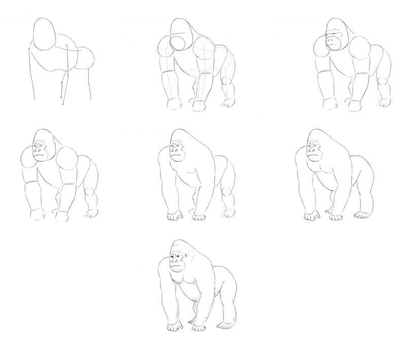 How to draw Gorilla idea (25)