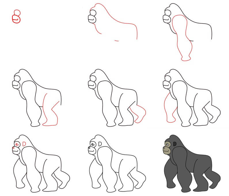 How to draw Gorilla idea (29)