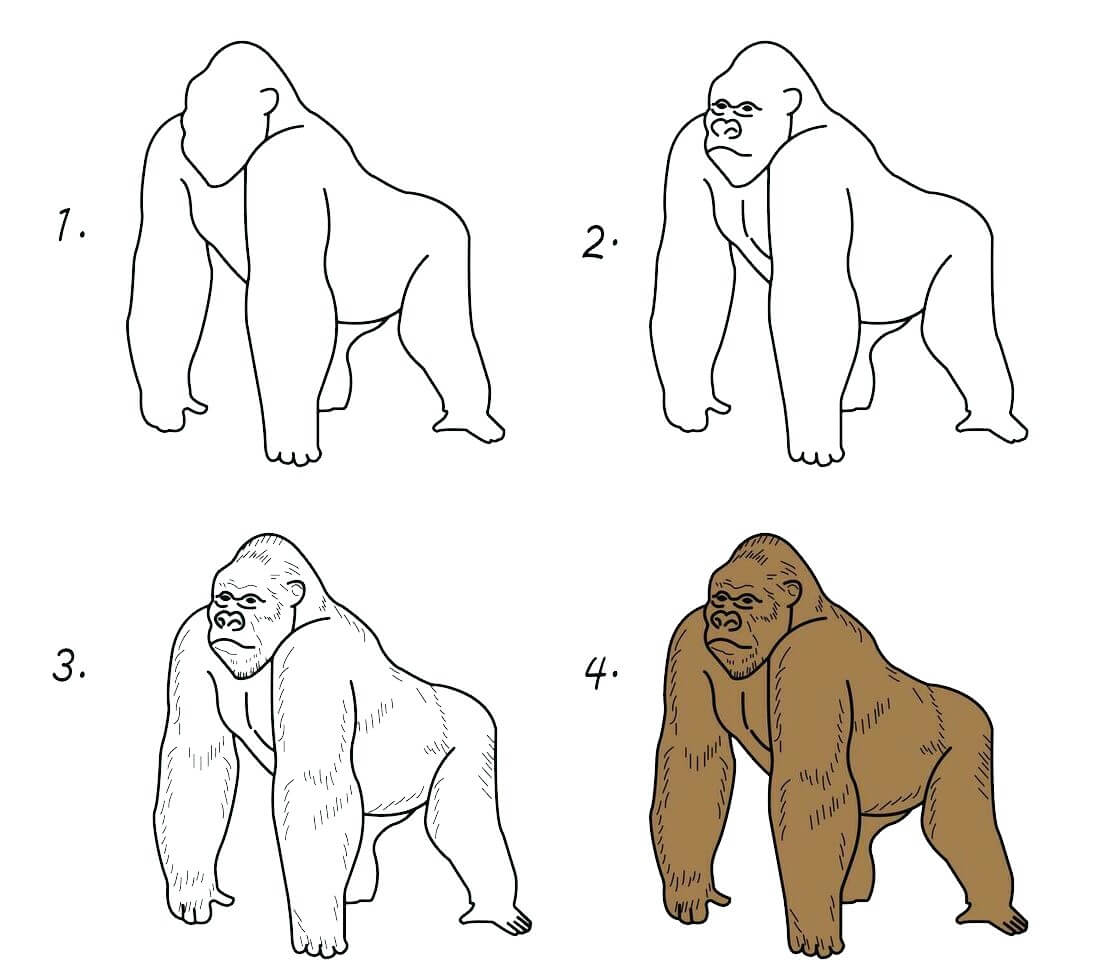 How to draw Gorilla idea (31)