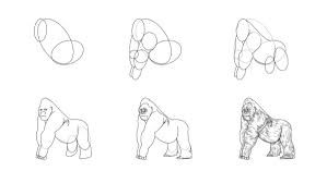 Gorilla Ideas 6 Drawing Ideas