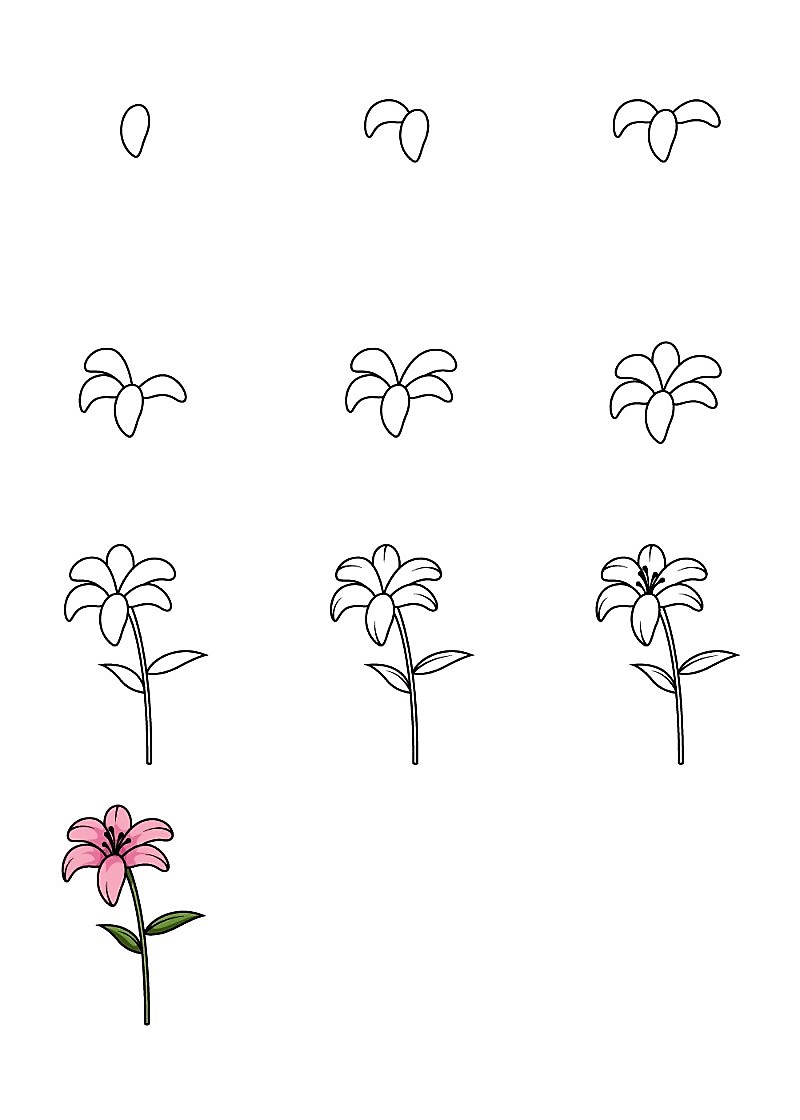 Lily flower idea 6 Drawing Ideas