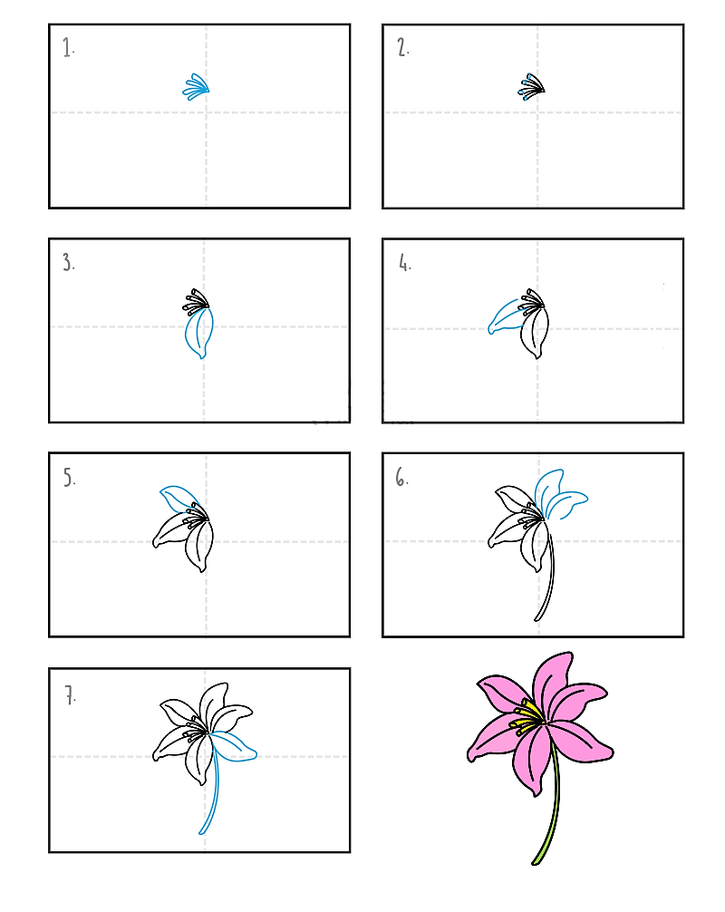Lily flower idea 9 Drawing Ideas
