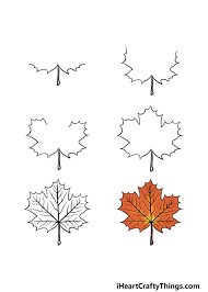 How to draw Maple Leaf Idea 3