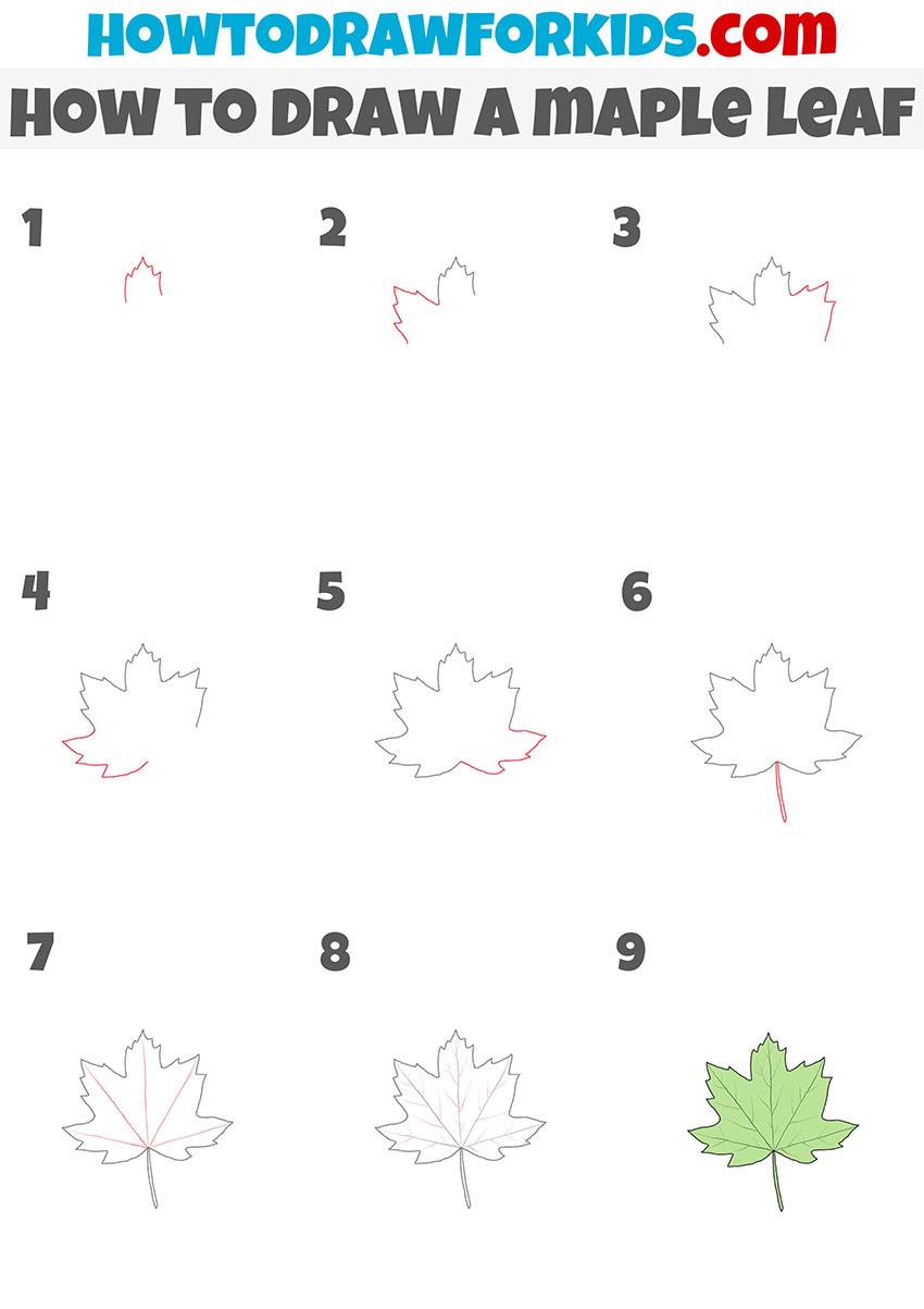 Maple Leaf Idea 5 Drawing Ideas