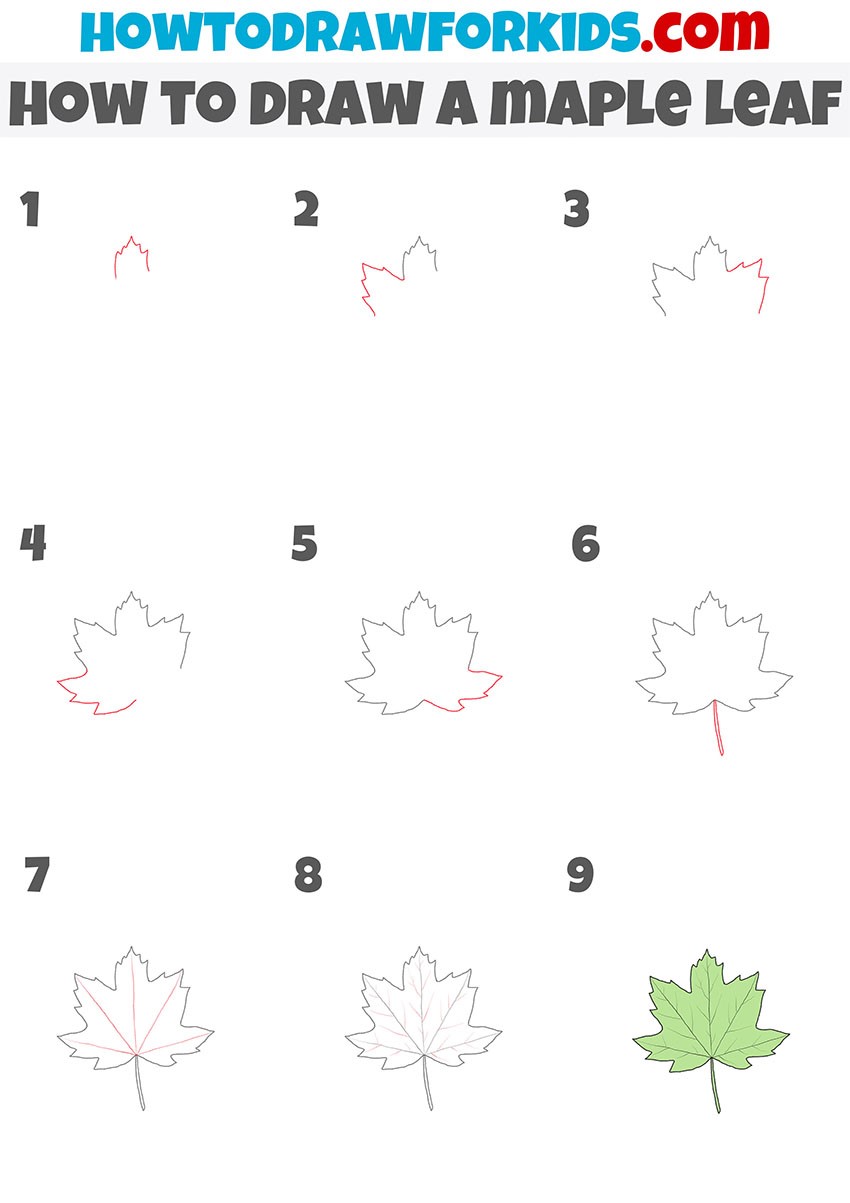 How to draw Maple Leaf Idea 5