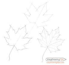 Maple Leaf Idea 6 Drawing Ideas