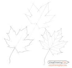 How to draw Maple Leaf Idea 6