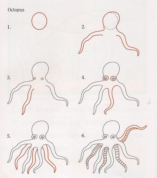 How to draw Octopus idea 10