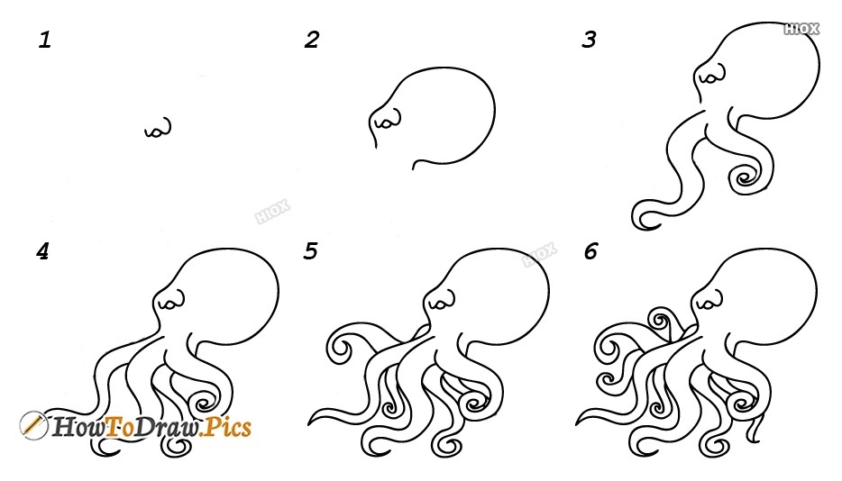 How to draw Octopus idea 8